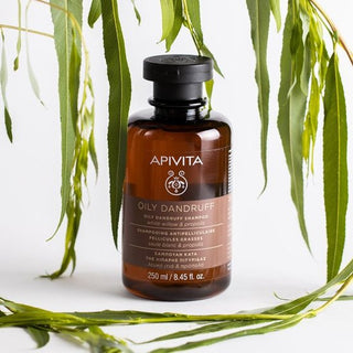 Oily Dandruff Shampoo (vette roos) Apivita