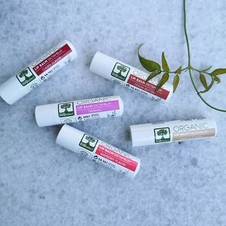 BIOselect Biologische Lippenbalsem Cacaoboter BIOselect Organic