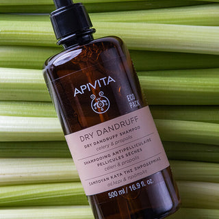 Dry Dandruff Shampoo (droge roos) (500ml eco-verpakking) Apivita